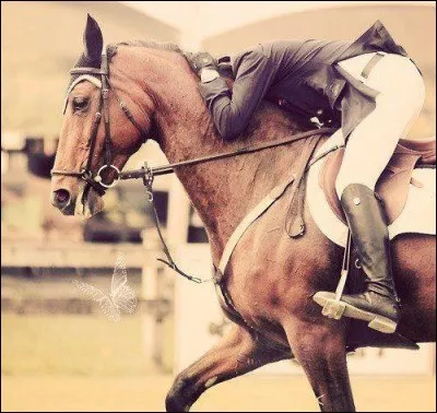 Quand tu pleures, que fait-il ?