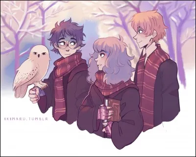 Entrons au cur du sujet : dans "Harry Potter à l'école des sorciers", que dit Hermione au sujet d'une chose pire que la mort ?