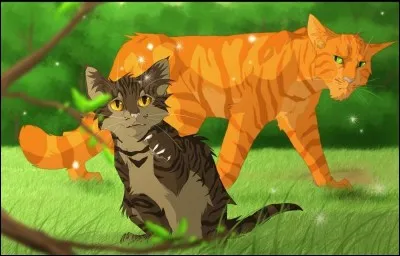 Qui est son troisi&egrave;me apprenti ?