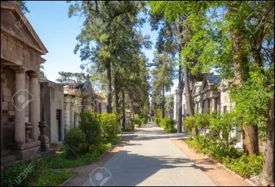En Am&eacute;rique du sud, il n'y a pas plus grand avec 2 millions d'emplacements. Am&eacute;nag&eacute; d&egrave;s l'ind&eacute;pendance du Chili en 1821, on y retrouve presque tous les pr&eacute;sidents du pays dont Allende et Pinochet de m&ecirc;me que beaucoup de sculptures et mausol&eacute;es log&eacute;s dans des jardins luxuriants.