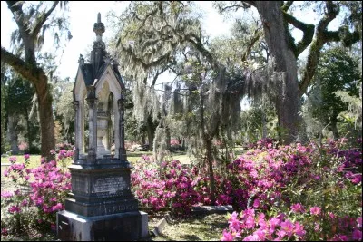 Cet endroit particulier est situ&eacute; sur le site d'une ancienne plantation. Dans un ouvrage, r&eacute;dig&eacute; en 1867, on &eacute;crivait d&eacute;j&agrave; &agrave; son sujet : "M&ecirc;me les endroits qui sont d&eacute;sordonn&eacute;s par l'art, la nature est toujours &agrave; l'œuvre pour les r&eacute;cup&eacute;rer".