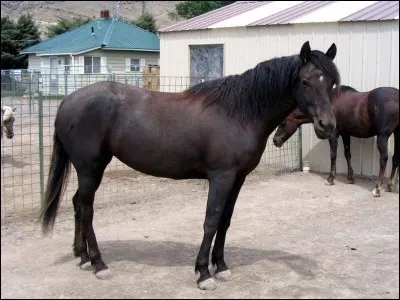 Maintenant essayez de deviner celle-ci :