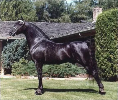 Celui-ci est trompeur !