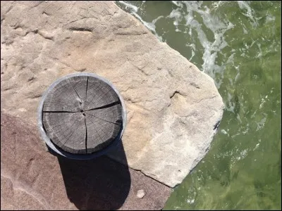 Regardez bien l'illustration ! En ajoutant un L à la composition, vous trouverez alors...