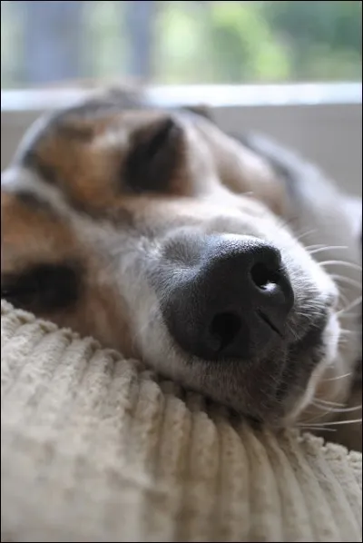 Regardez bien l'illustration ! Vous saurez alors dans quel coin de France vous vous trouvez...