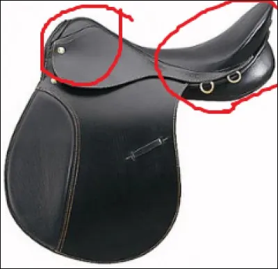 Citez les parties de cette selle entourées en rouge.