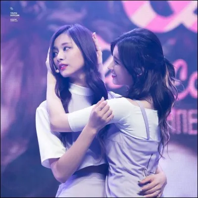 Quel est son animal et son fruit favoris ?