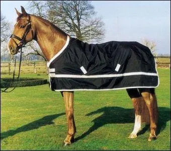 Qu'est-ce que c'est ?