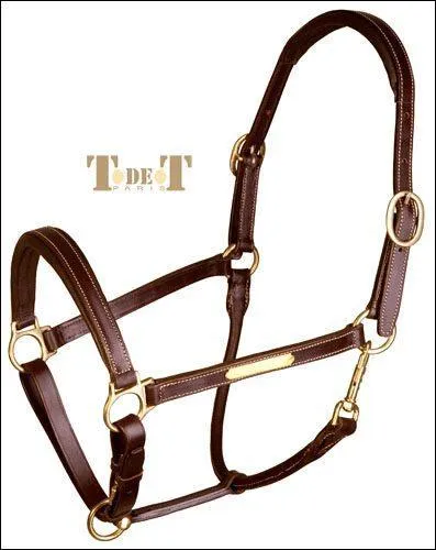 Comment s'appelle ce licol ?