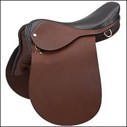 Quelles sont les parties de la selle ?