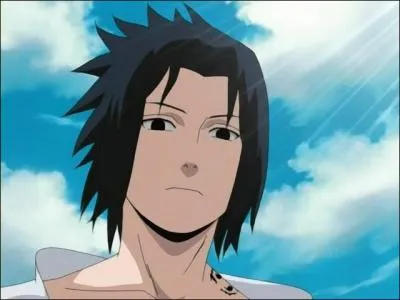 Qui n'aimera plus Sasuke aprs son dpart ?