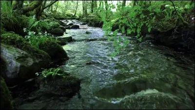 Si tu avais un pouvoir, ce serait...