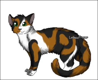 Quels sont les noms de guerriers de Nuage de Merle et Nuage de Cerise dans le Clan du Ciel ?