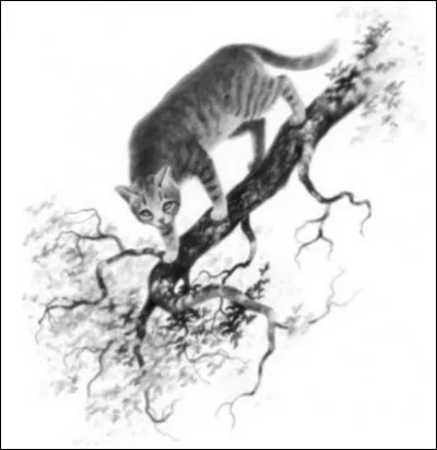 Et qui sont leurs apprentis ?