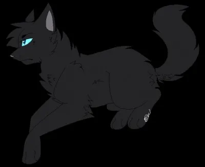 Quel est le nom de chaton de Plume de Jais ?