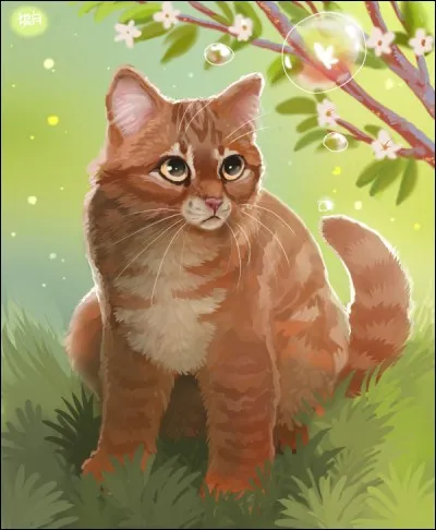 En quoi la guérisseuse Papillon ne croit-elle pas ?