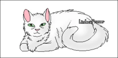 Quel est le nom de chaton d'Aile Rousse ?