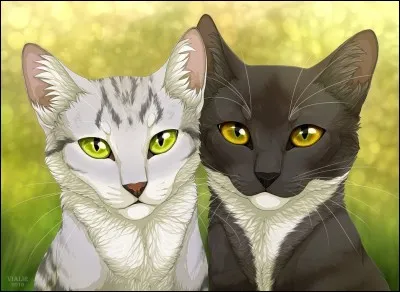 Quels étaient les noms de chatons de Pelage d'Orage et Jolie Plume ?