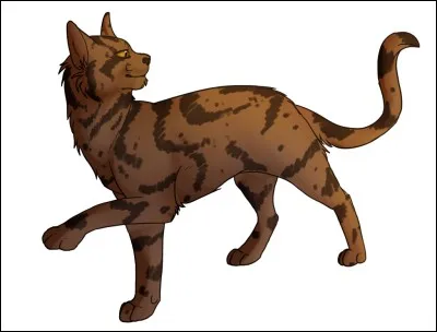 Le nom de chaton d'Étoile Solitaire est...