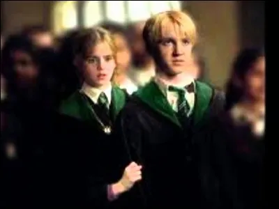 Qui forme le couple Drarry ?