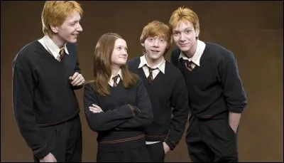 Y a-t-il un couple pour Ron et Ginny ?