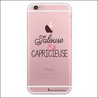 Es-tu capricieux/capricieuse ?