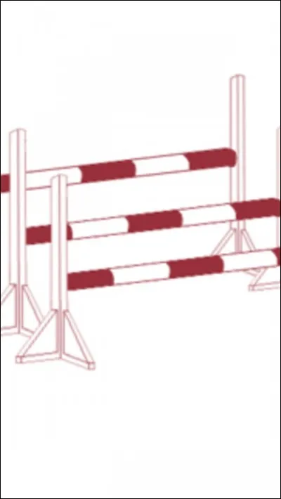 Comment se nomme cet obstacle ?