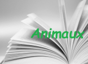 Quiz Des animaux et des livres