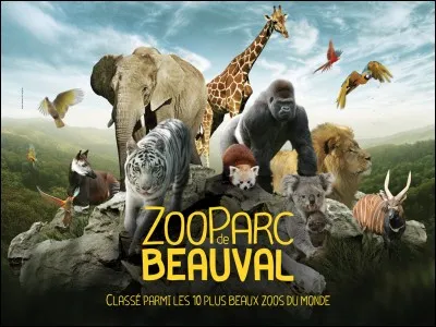 Nous partons &agrave; pr&eacute;sent &agrave; la d&eacute;couverte du zoo de Beauval. Situ&eacute;e dans le Loir-et-Cher, cette commune fait de son zoo le plus visit&eacute; de France. Je suis�