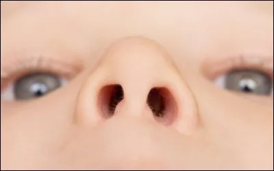 Quelle odeur préfères-tu ?