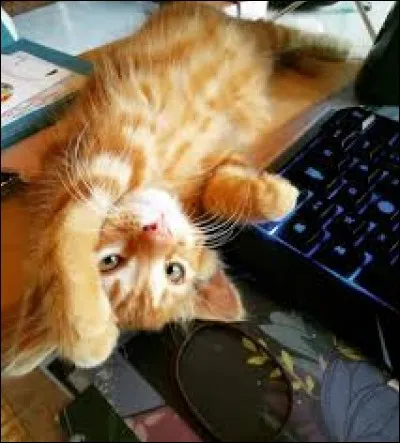 Quel est l'âge de Tibou en 2018 ?