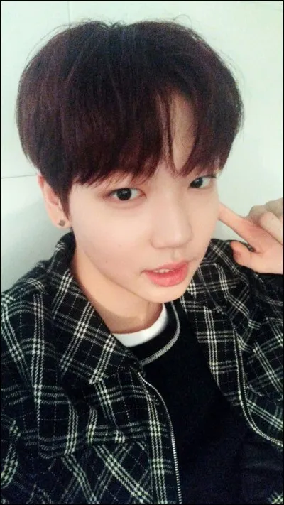 De quel groupe est-il le maknae ?