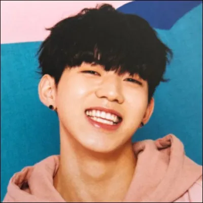 De quel groupe est-il le maknae ?