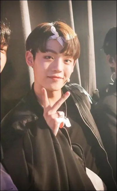 De quel groupe est-il le maknae ?