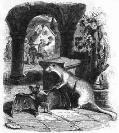 À qui doit-on la fable "La Chauve-souris et les Deux Belettes" ?