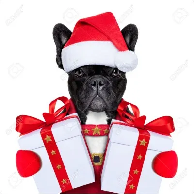 Quel personnage qui apporte la joie préfères-tu ?