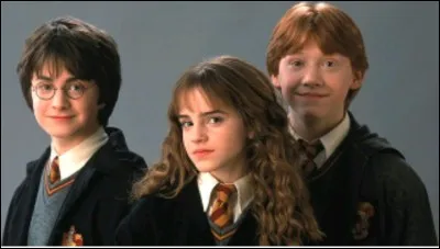 O&ugrave; Hermione, Ron et Harry se sont-ils rencontr&eacute;s ?
