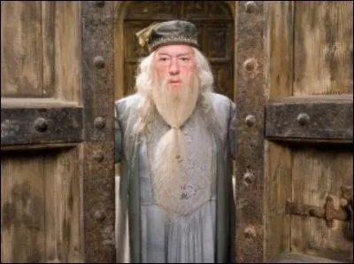 Qui est Dumbledore ?