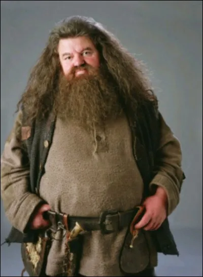Qui est Hagrid ?