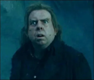 En quoi Peter Pettigrow se transforme-t-il ?