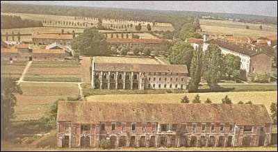 Qui a fondé, en 1098, l'abbaye de Cîteaux ?