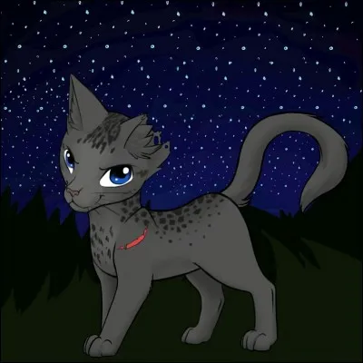 Cette image représente...