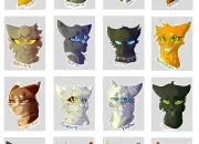 Test Quel type de chat de ''La Guerre des clans'' tes-vous ?