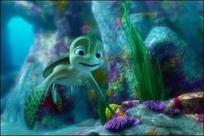 Comment s'appelle cette tortue ?