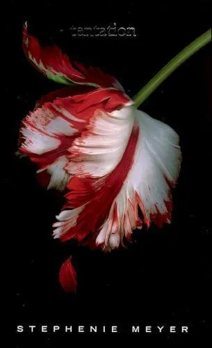 Qui est le ralisateur de Twilight 2 ?