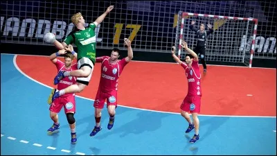 Le Championnat du monde de handball masculin 2017 a été remporté par la France.