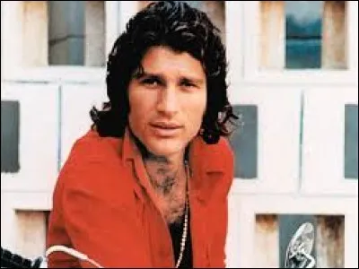 En quelle année s'est suicidé Mike Brant ?