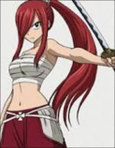 Quel est le nom de l'armure d'Erza ?