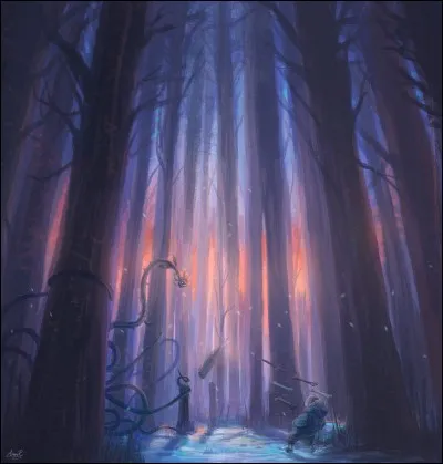 Comment s'appelle la ville où vivent Sans et son frère ?