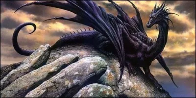 Le nom de ce dragon catalan est :